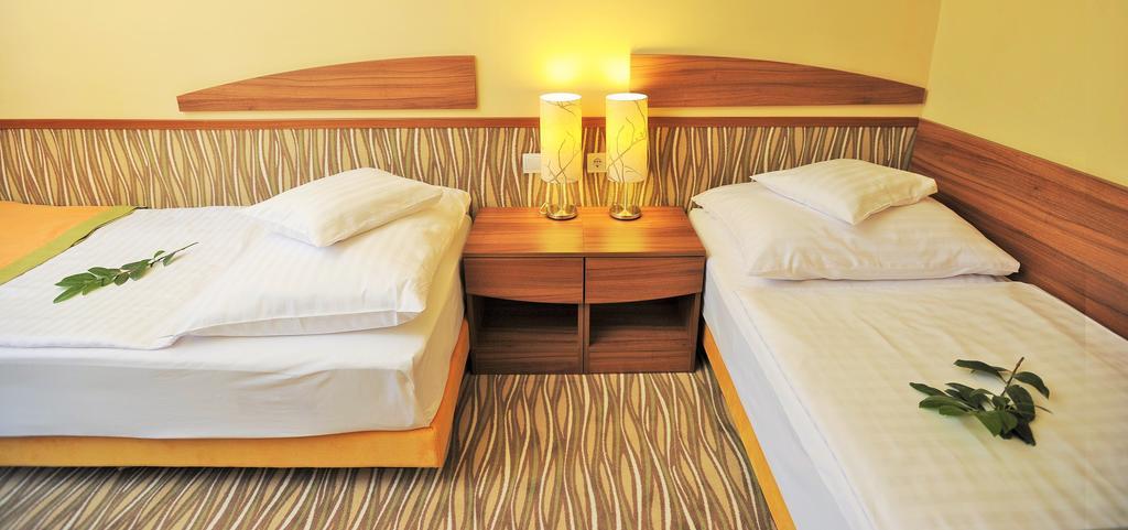 Park Hotel Gyula Chambre photo