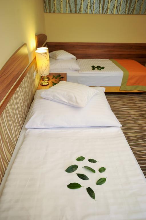 Park Hotel Gyula Chambre photo