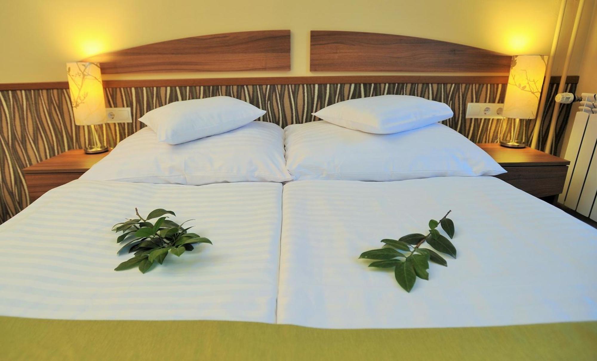 Park Hotel Gyula Extérieur photo